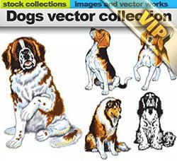 宠物狗合集：Dogs vector collection